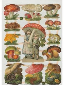 Planche De Chromo Découpis Die Cut Champignon MICA 7355g Carterie Collage Ernst Freihoff