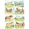 Planche De Chromo Découpis Die Cut Cheval ECLAT 7149e Carterie Collage Ernst Freihoff