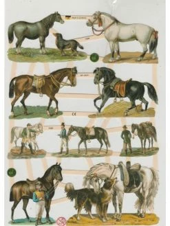Planche De Chromo Découpis Die Cut Cheval ECLAT 7335e Carterie Collage Ernst Freihoff