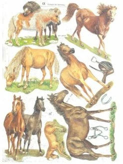 Planche De Chromo Découpis Die Cut Cheval MICA 7199g Carterie Collage Ernst Freihoff