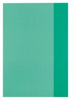 Herlitz Protège-cahier - A4 - En PP - Vert Transparent