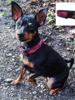 Prym Ruban élastique Brodé - Ethno Bleu Et Fuchsia - 25 Mm - Au Mètre (sur Mesure) -V-Zug shop ruban elastique brode ethno bleu et fuchsia 25 mm au metre sur mesure p 5