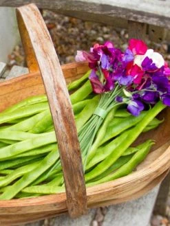 VELCRO® Ruban Velcro Auto Agrippant Pour Plantes - Vert - 12 Mm X 5 M -V-Zug shop ruban velcro auto agrippant pour plantes vert 12 mm x 5 m p 3