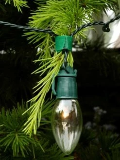 VELCRO® Ruban Velcro Auto Agrippant Pour Plantes - Vert - 12 Mm X 5 M -V-Zug shop ruban velcro auto agrippant pour plantes vert 12 mm x 5 m p 5