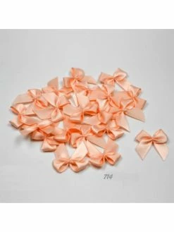 La Mercerie De Vally Sachet De 20 Nœuds En Satin De Belle Qualite Abricot