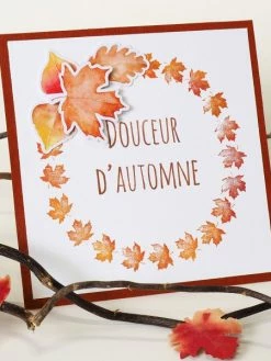 Tampon Clear Artemio - Aquarelle - Feuilles - 8 Pcs -V-Zug shop tampon clear artemio aquarelle feuilles 8 pcs p 3