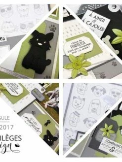 Tampons Clear Florilèges Design - Compagnon Fidèle - 9 Pcs -V-Zug shop tampons clear florileges design compagnon fidele 9 pcs p 3