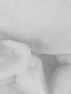 Creavea Entoilage à Coudre - Vlieseline H505 Molleton - Blanc - Au Mètre