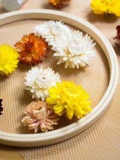 Pause Moderne Kit DIY - Créer Son Tambour Fleuri 5 Pause Moderne Kit DIY - Créer Son Tambour Fleuri -V-Zug shop kit diy creer son tambour fleuri p 3