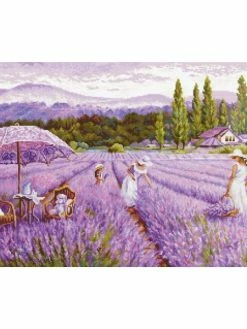Kit Point De Croix - Luca S - Champ De Lavande SBU5008