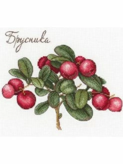 Artibalta Kit Point De Croix MP Studia- Baies SNV-650 20*15 Cm