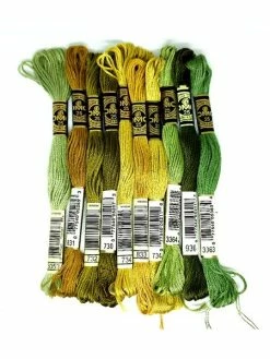 Lot De 10 échevettes Fil A Broder - DMC - Ton Vert - Mouliné Spécial - 100