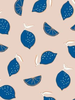 Tissu Coton Frou Frou - Citron Douceur Mandarine - Vendu Par 10 Cm