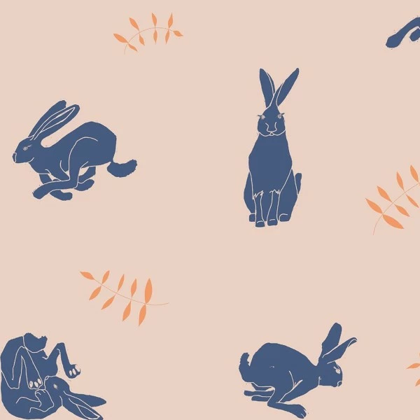 Tissu Coton Frou Frou - Lièvre Rose - Vendu Par 10 Cm 1 Tissu Coton Frou Frou - Lièvre Rose - Vendu Par 10 Cm