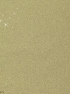 Tissu Frou Frou - Doré - A La Coupe Par 10 Cm (sur Mesure)