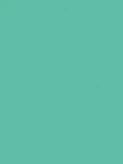 Vinyle Adhésif Permanent Cricut - Menthe - 30,5 X 122 Cm - 1 Pce 3 Vinyle Adhésif Permanent Cricut - Menthe - 30,5 X 122 Cm - 1 Pce -V-Zug shop vinyle adhesif permanent cricut menthe 305 x 122 cm 1 pce p 2