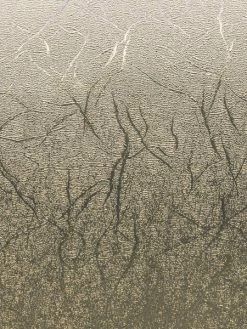 Vinyle Adhésif Permanent Cricut - Platine Texturé - 30,5 X 122 Cm - 1 Pce -V-Zug shop vinyle adhesif permanent cricut platine texture 305 x 122 cm 1 pce p 2